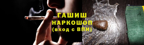 гашик Алексеевка