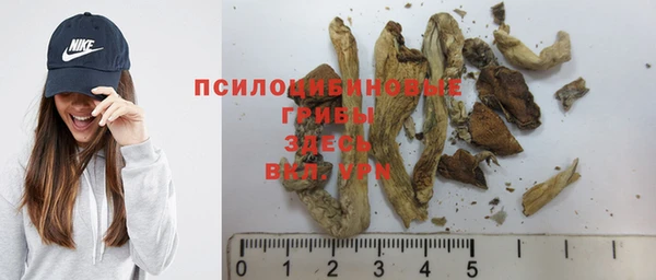 гашик Алексеевка