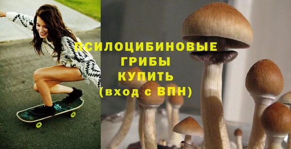бошки Арсеньев